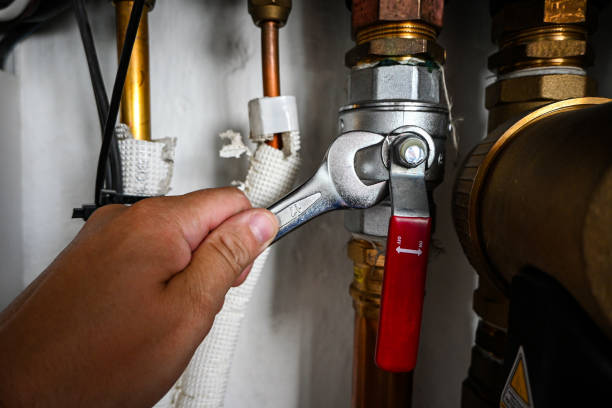 Best Sprinkler Systems  in Carlstadt, NJ